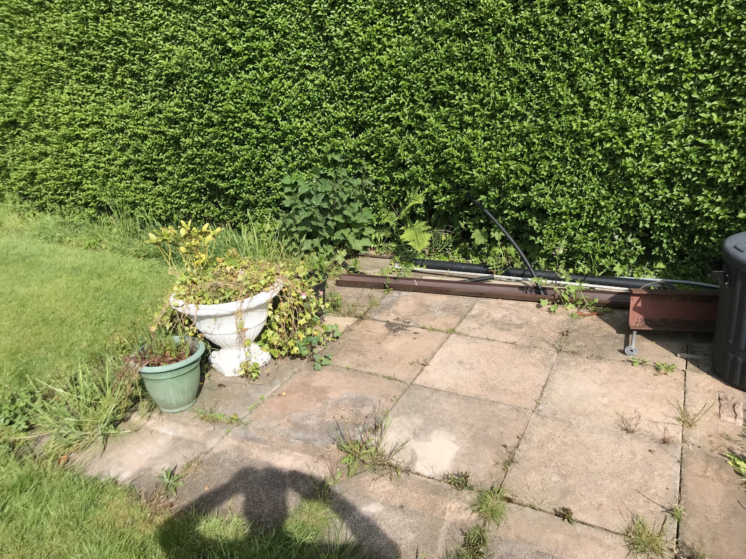 Before image