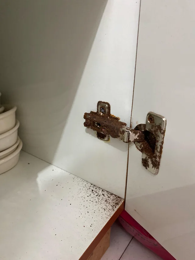 Rusty and damaged kitchen cupboard hinge